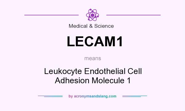 What does LECAM1 mean? It stands for Leukocyte Endothelial Cell Adhesion Molecule 1
