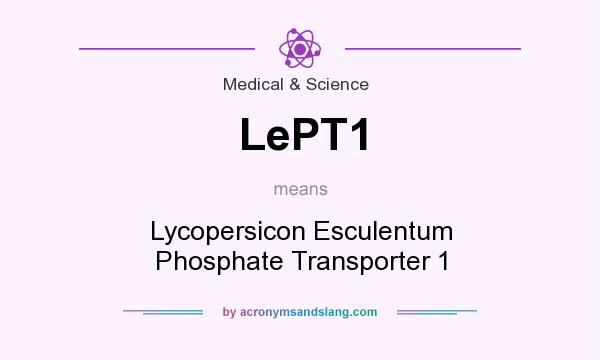 What does LePT1 mean? It stands for Lycopersicon Esculentum Phosphate Transporter 1
