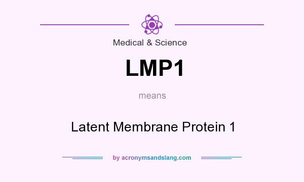 What does LMP1 mean? It stands for Latent Membrane Protein 1