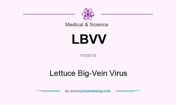 What does LBVV mean? It stands for Lettuce Big-Vein Virus