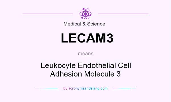 What does LECAM3 mean? It stands for Leukocyte Endothelial Cell Adhesion Molecule 3