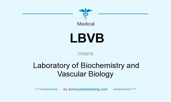 What does LBVB mean? It stands for Laboratory of Biochemistry and Vascular Biology
