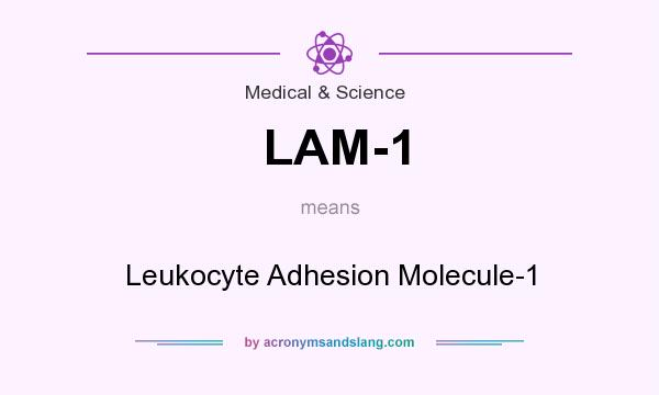 What does LAM-1 mean? It stands for Leukocyte Adhesion Molecule-1