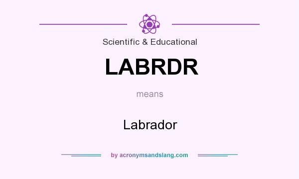 What does LABRDR mean? It stands for Labrador