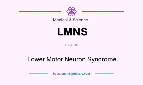 What does LMNS mean? It stands for Lower Motor Neuron Syndrome