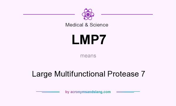 What does LMP7 mean? It stands for Large Multifunctional Protease 7