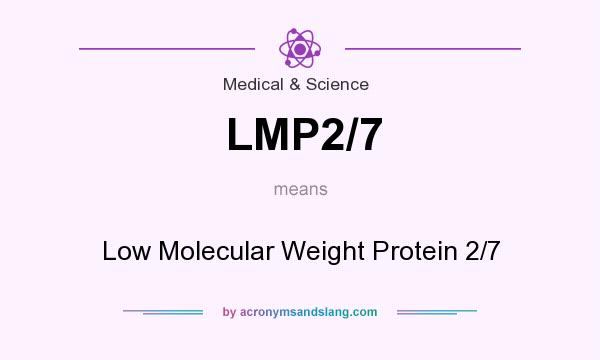 What does LMP2/7 mean? It stands for Low Molecular Weight Protein 2/7