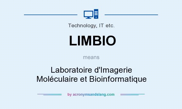 What does LIMBIO mean? It stands for Laboratoire d`Imagerie Moléculaire et Bioinformatique