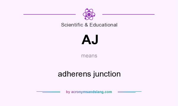 What does AJ mean? It stands for adherens junction
