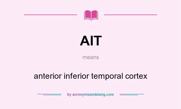 What does AIT mean? It stands for anterior inferior temporal cortex