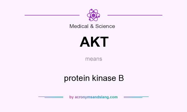 What does AKT mean? It stands for protein kinase B