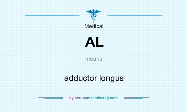 What does AL mean? It stands for adductor longus