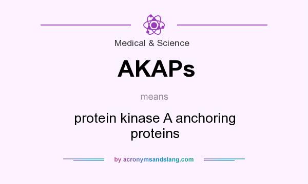 What does AKAPs mean? It stands for protein kinase A anchoring proteins