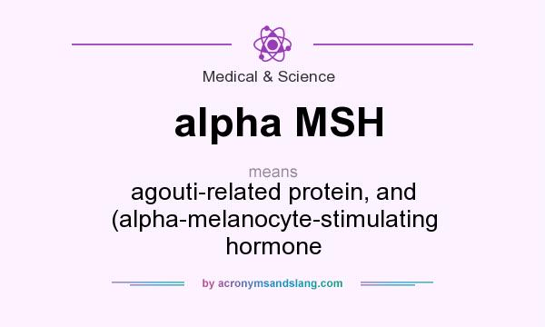 What does alpha MSH mean? It stands for agouti-related protein, and (alpha-melanocyte-stimulating hormone