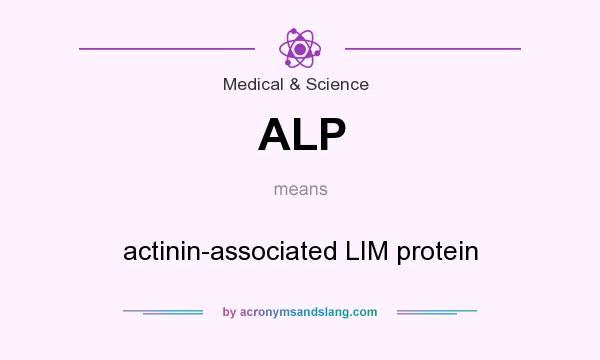 What does ALP mean? It stands for actinin-associated LIM protein
