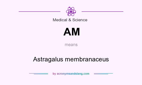 What does AM mean? It stands for Astragalus membranaceus