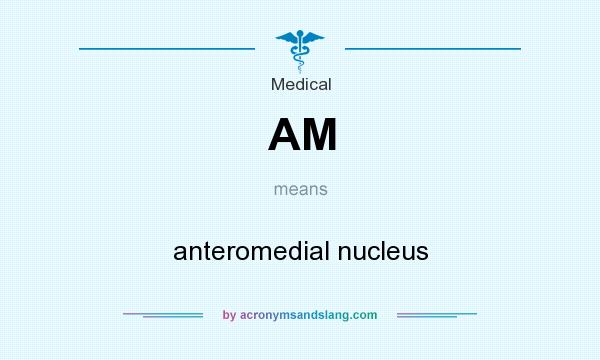 What does AM mean? It stands for anteromedial nucleus