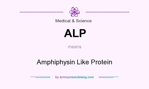 What does ALP mean? It stands for Amphiphysin Like Protein