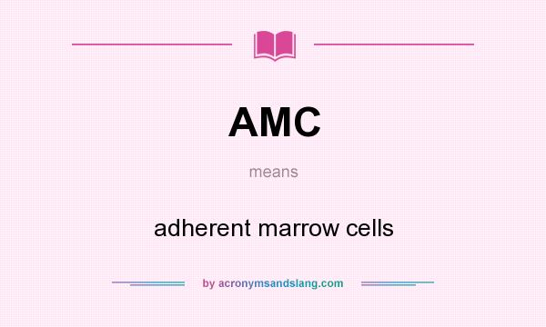 What does AMC mean? It stands for adherent marrow cells