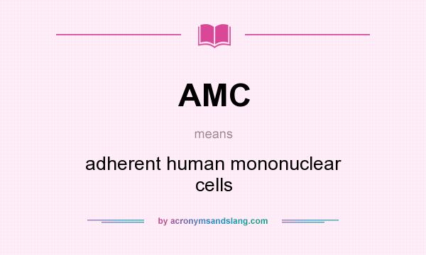 What does AMC mean? It stands for adherent human mononuclear cells