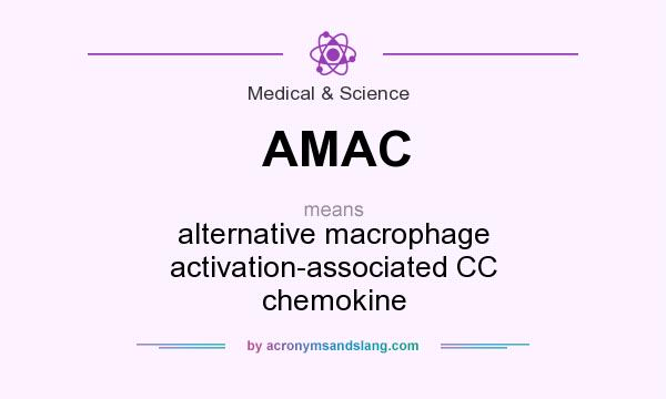 What does AMAC mean? It stands for alternative macrophage activation-associated CC chemokine