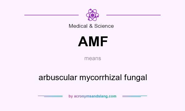 What does AMF mean? It stands for arbuscular mycorrhizal fungal