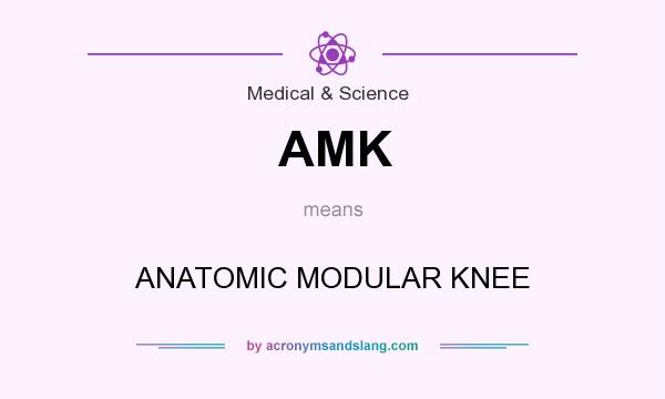 What does AMK mean? It stands for ANATOMIC MODULAR KNEE