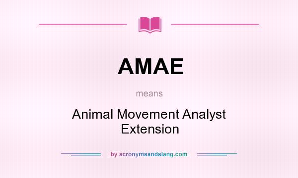 What does AMAE mean? It stands for Animal Movement Analyst Extension
