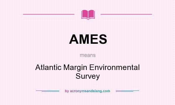 What does AMES mean? It stands for Atlantic Margin Environmental Survey