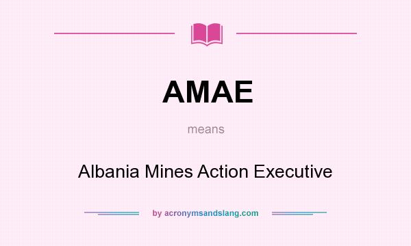 What does AMAE mean? It stands for Albania Mines Action Executive