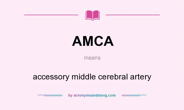 What does AMCA mean? It stands for accessory middle cerebral artery
