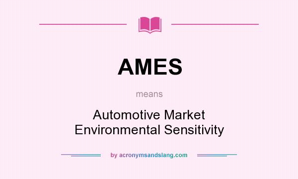 What does AMES mean? It stands for Automotive Market Environmental Sensitivity