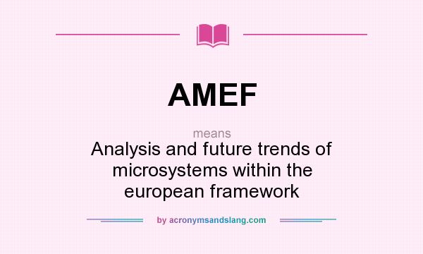 What does AMEF mean? It stands for Analysis and future trends of microsystems within the european framework