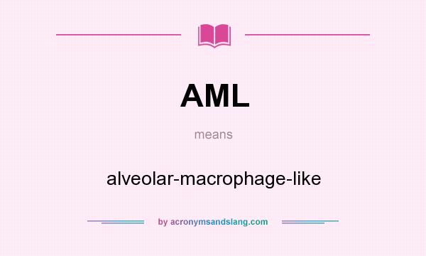 What does AML mean? It stands for alveolar-macrophage-like
