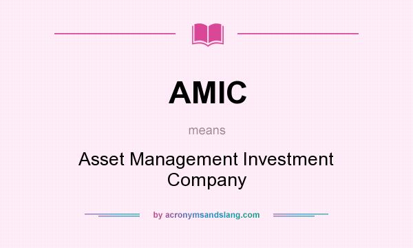 What does AMIC mean? It stands for Asset Management Investment Company