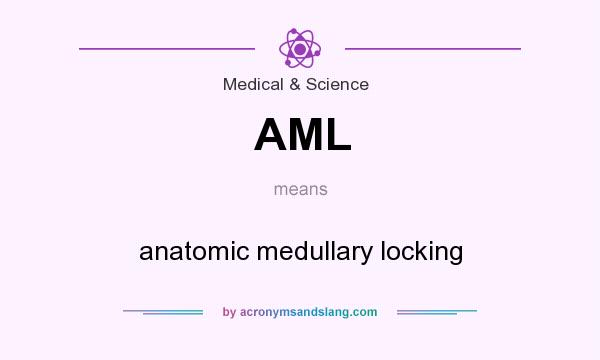 What does AML mean? It stands for anatomic medullary locking