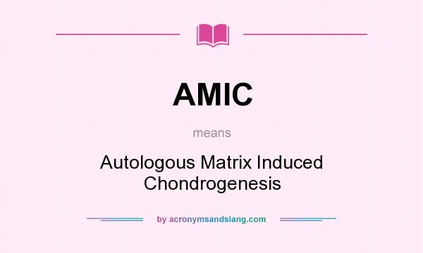 What does AMIC mean? It stands for Autologous Matrix Induced Chondrogenesis