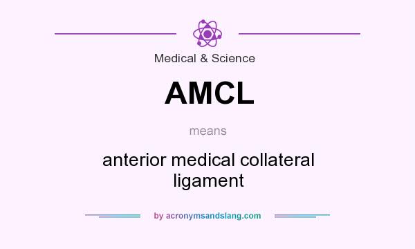 What does AMCL mean? It stands for anterior medical collateral ligament