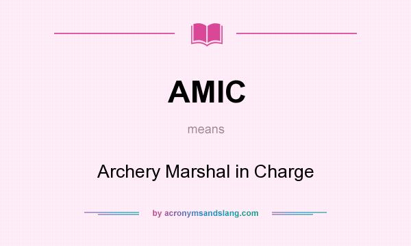 What does AMIC mean? It stands for Archery Marshal in Charge
