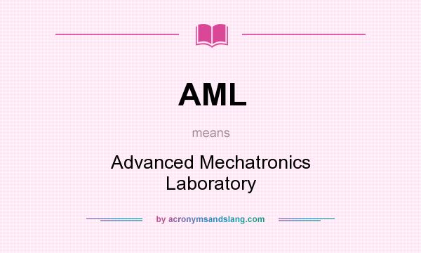 What does AML mean? It stands for Advanced Mechatronics Laboratory