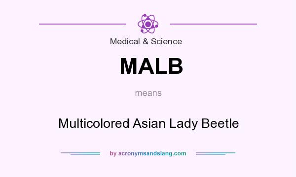 What does MALB mean? It stands for Multicolored Asian Lady Beetle