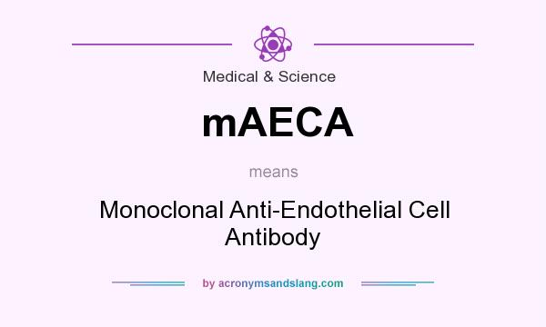 What does mAECA mean? It stands for Monoclonal Anti-Endothelial Cell Antibody