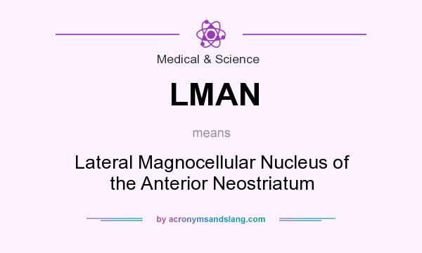 What does LMAN mean? It stands for Lateral Magnocellular Nucleus of the Anterior Neostriatum