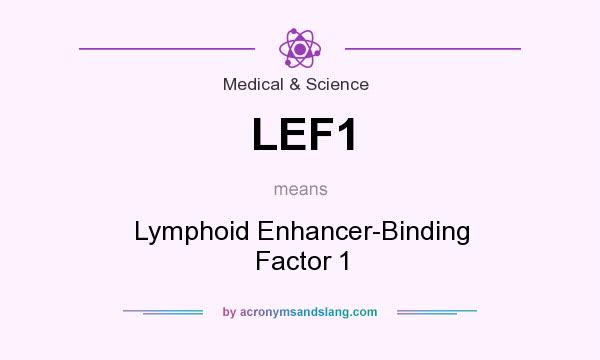 What does LEF1 mean? It stands for Lymphoid Enhancer-Binding Factor 1