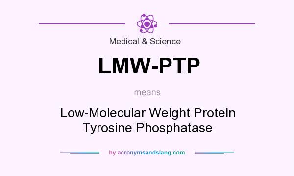 What does LMW-PTP mean? It stands for Low-Molecular Weight Protein Tyrosine Phosphatase