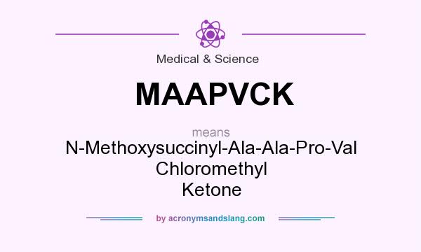 What does MAAPVCK mean? It stands for N-Methoxysuccinyl-Ala-Ala-Pro-Val Chloromethyl Ketone