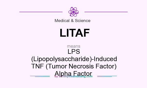 What does LITAF mean? It stands for LPS (Lipopolysaccharide)-Induced TNF (Tumor Necrosis Factor) Alpha Factor