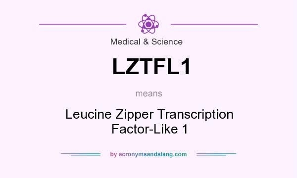 What does LZTFL1 mean? It stands for Leucine Zipper Transcription Factor-Like 1
