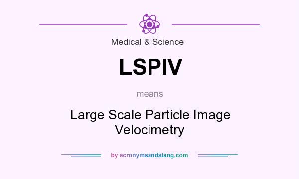What does LSPIV mean? It stands for Large Scale Particle Image Velocimetry