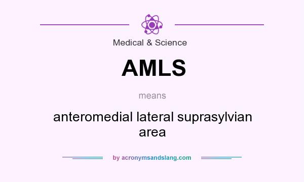 What does AMLS mean? It stands for anteromedial lateral suprasylvian area